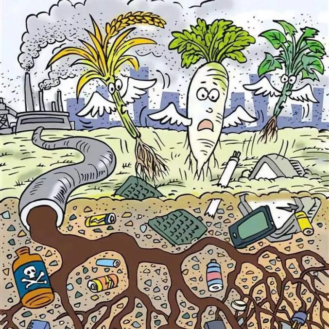 垃圾不分類的危害你了解嗎？