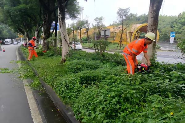 深圳龍華城市園林環(huán)衛(wèi)服務價格